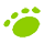 Found Pets